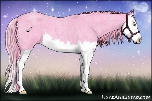 Horse Color:Watercolor Liver Red Roan Splash 