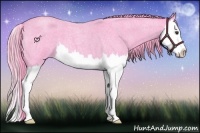 Horse Color:Watercolor Liver Red Roan Splash 