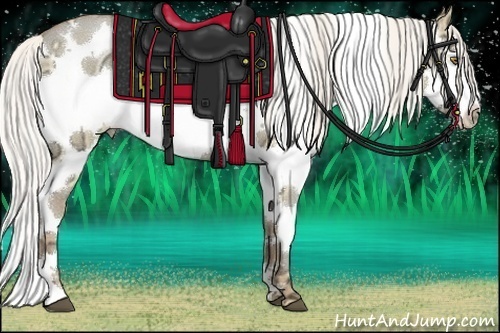 Horse Color:White Spotted Silver Brown Ice Pearl Dun Splash 