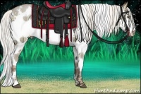 Horse Color:White Spotted Silver Brown Ice Pearl Dun Splash