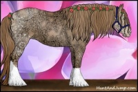 Horse Color:Liver Chestnut Ice Pearl 