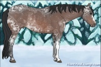 Horse Color:Brown Ice Rabicano 