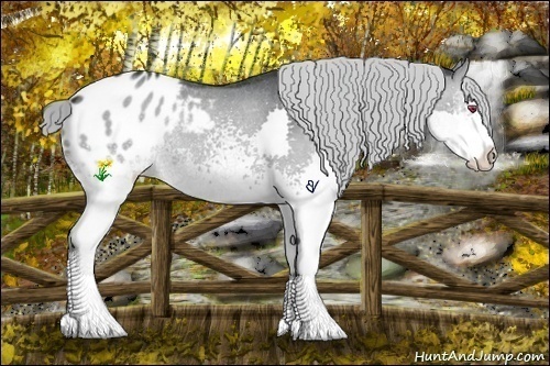 Horse Color:White Spotted Grullo Chinchilla Splash Appaloosa