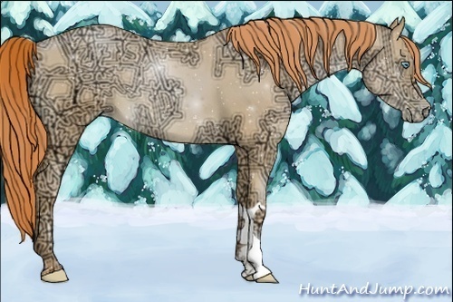 Horse Color:Sable Champagne Ice Pearl 