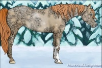 Horse Color:Sable Champagne Ice Pearl 