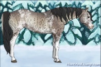 Horse Color:White Spotted Brown Ice Onyx Rabicano 