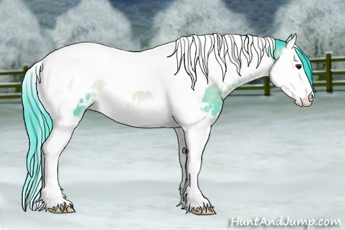 Horse Color:Watercolor White Spotted Brown Chinchilla Onyx Splash Tobiano