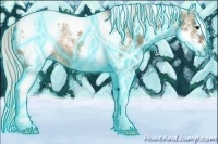 Horse Color:Thunderstruck White Spotted Silver Brown Dun Tobiano Appaloosa Rabicano 