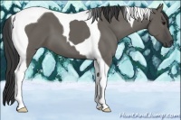 Horse Color:Smoky Grullo Tobiano 