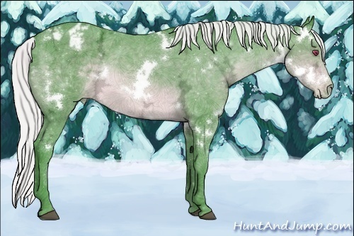 Horse Color:Watercolor White Spotted Silver Brown Chinchilla Ice Varnish