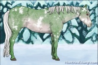 Horse Color:Watercolor White Spotted Silver Brown Chinchilla Ice Varnish 