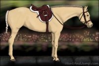 Horse Color:Palomino 