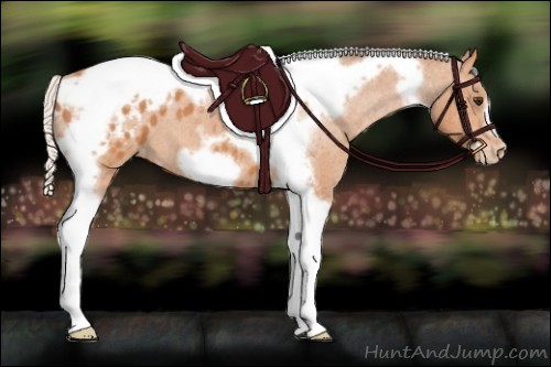 Horse Color:Silver Bay Roan Tobiano Frame Appaloosa 
