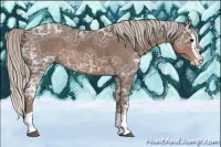 Horse Color:Silver Black Ice Splash 