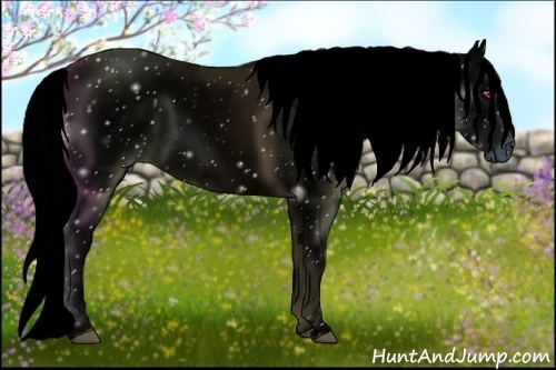 Horse Color:ERROR: UNKNOWN ANOMALY