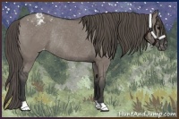 Horse Color:Grullo Varnish Rabicano 