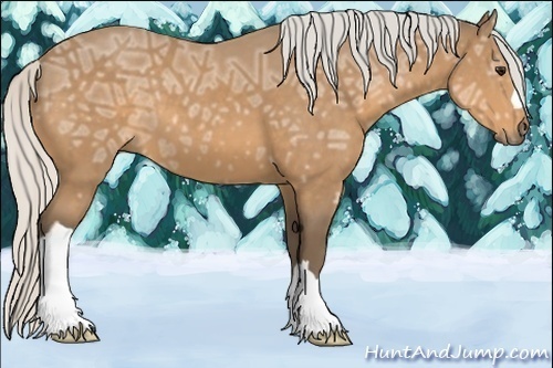 Horse Color:Silver Buckskin Ice