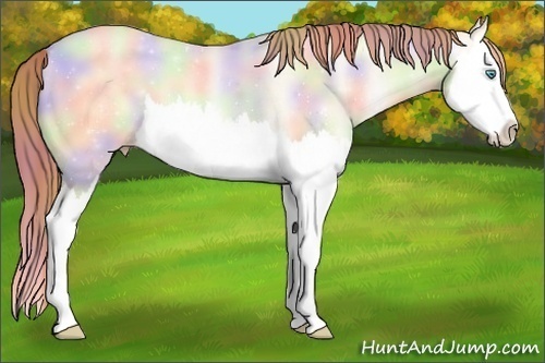 Horse Color:Nacre Amber Cream Champagne Pearl Dun Splash