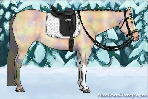 Horse Color:Nacre Buckskin Roan Dun 