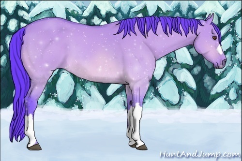Horse Color:Watercolor Buckskin Dun 
