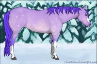 Horse Color:Watercolor Buckskin Dun 