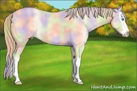 Horse Color:Nacre Perlino Splash 