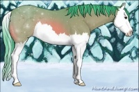 Horse Color:Watercolor Buckskin Splash