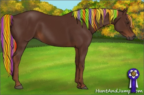 Horse Color:Gray Painted Chestnut 