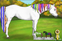 Horse Color:Gray Painted Chestnut 