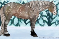 Horse Color:Liver Chestnut Sabino Appaloosa 