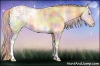 Horse Color:Nacre Gold Cream Champagne Ice Onyx 