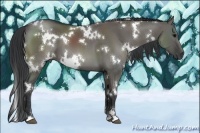 Horse Color:White Spotted Grullo Sabino