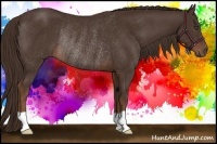 Horse Color:Liver Chestnut Rabicano