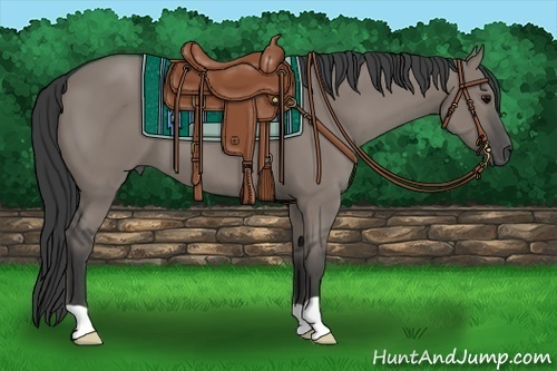 Horse Color:Grullo 