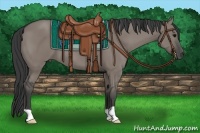 Horse Color:Grullo 