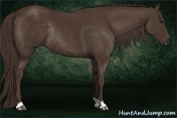 Horse Color:Liver Chestnut Rabicano 