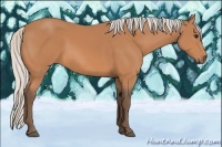 Horse Color:Silver Bay 