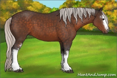 Horse Color:White Spotted Silver Brown 