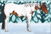 Horse Color:White Spotted Brown Tobiano Snowcap 