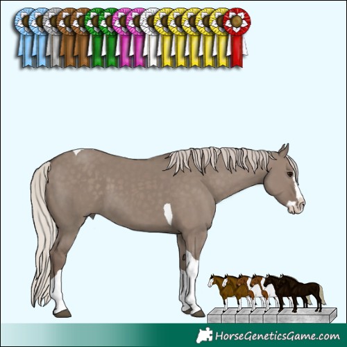 Horse Color:Silver Grullo Splash Tobiano 