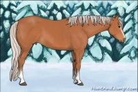 Horse Color:White Spotted Silver Bay