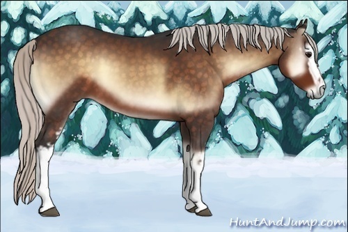 Horse Color:White Spotted Silver Brown Onyx 