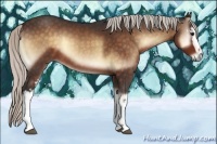 Horse Color:White Spotted Silver Brown Onyx 