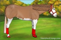 Horse Color:Chestnut Splash 