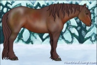 Horse Color:Chocolate Brown 