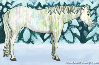 Horse Color:Watercolor Silver Bay Ice