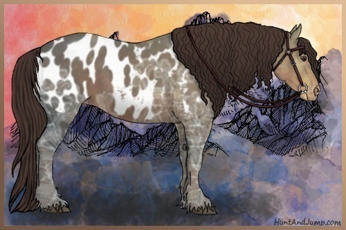 Horse Color:Liver Chestnut Ice Sabino Blanket 