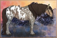 Horse Color:Liver Chestnut Ice Sabino Blanket 