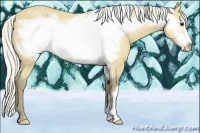 Horse Color:Silver Buckskin Frame Varnish Rabicano