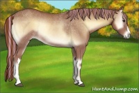 Horse Color:Painted Red Onyx Rabicano